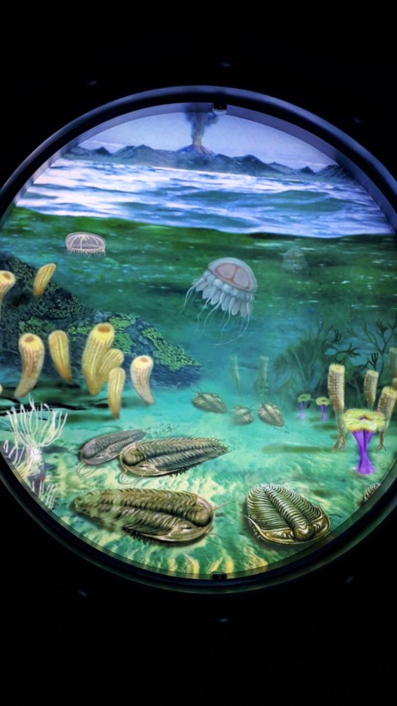 Photos 26 June MINEX Central Asia 2025